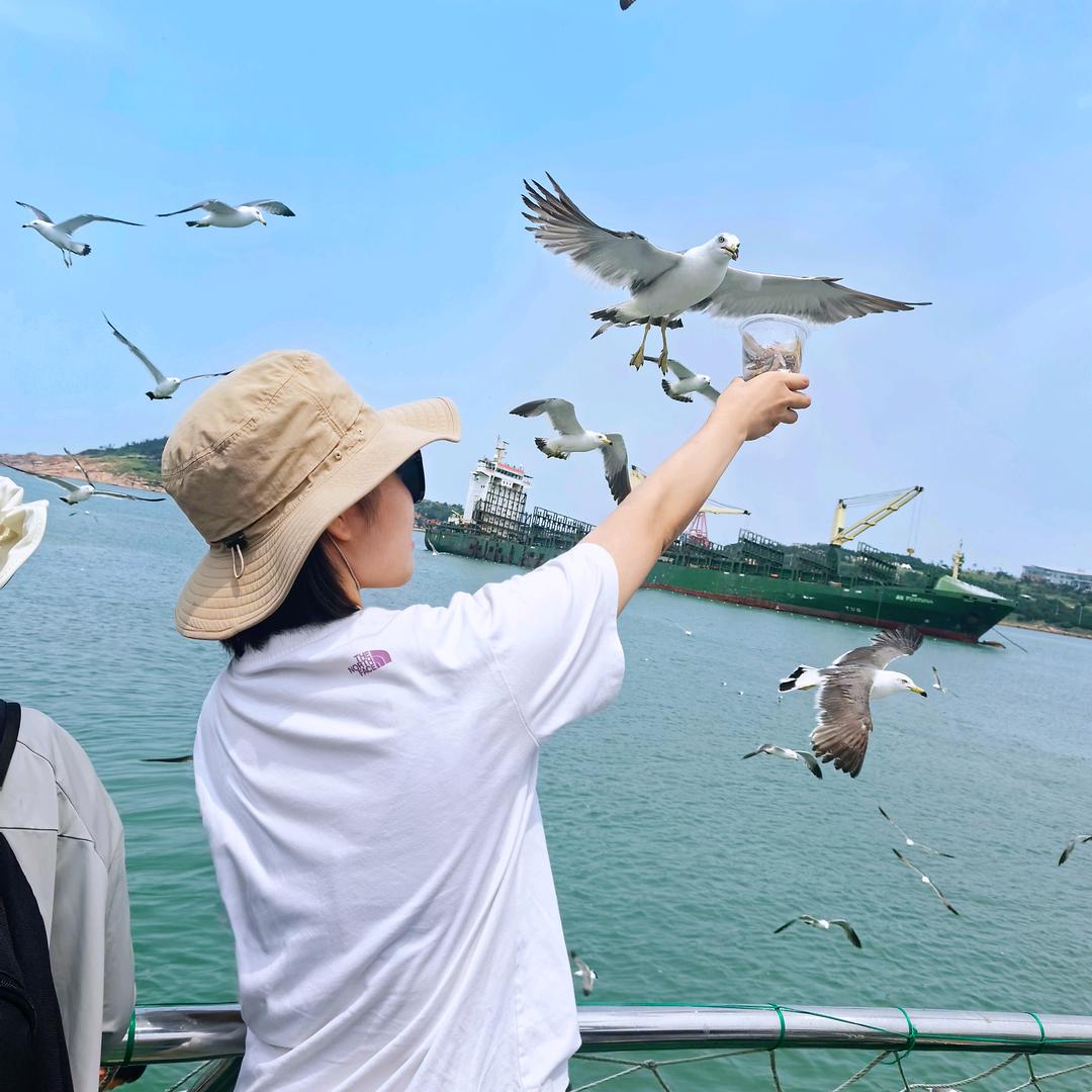 苗苗 呀🧚‍♀️