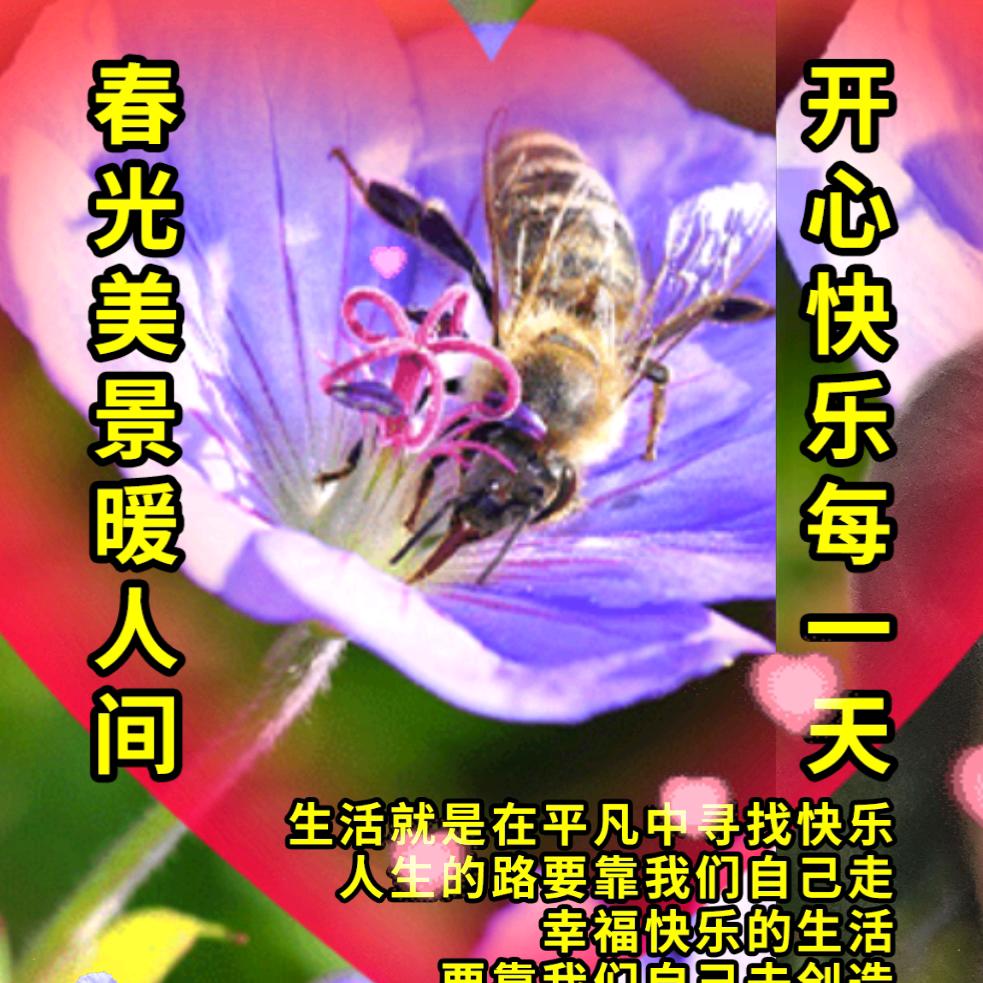 磁器口王家老大
