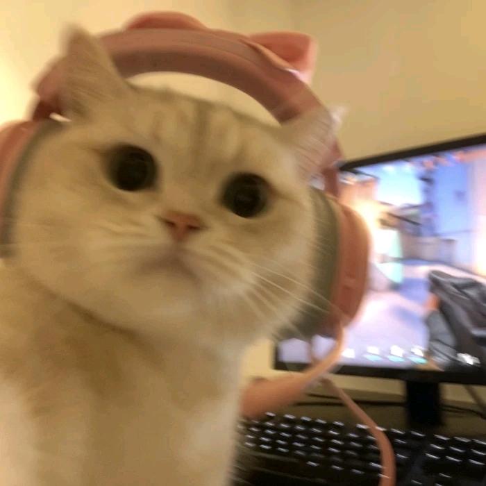 奶酱酱http://棋