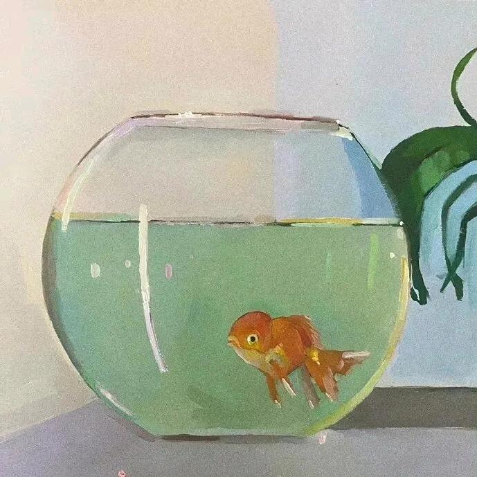 镜子鱼