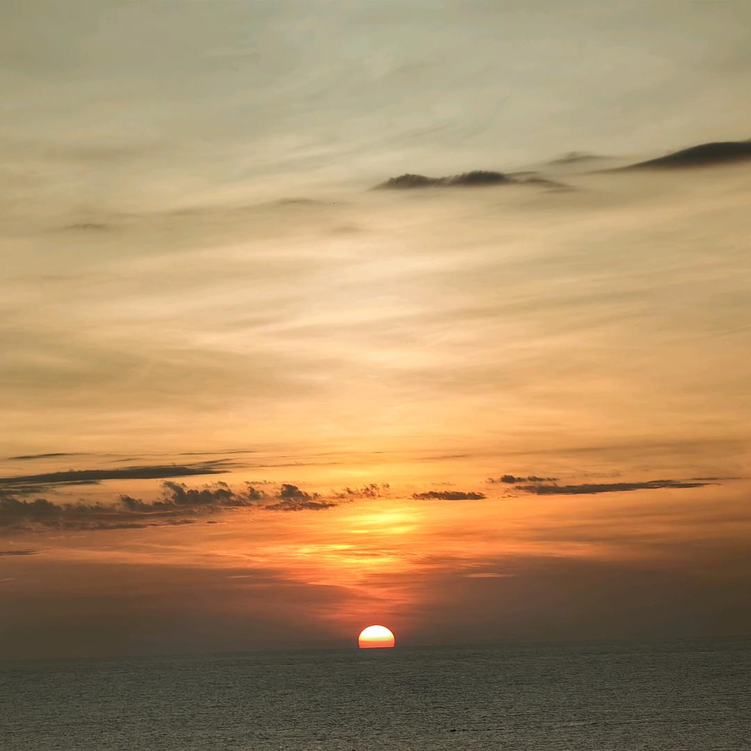 春风十里，海棠花开！