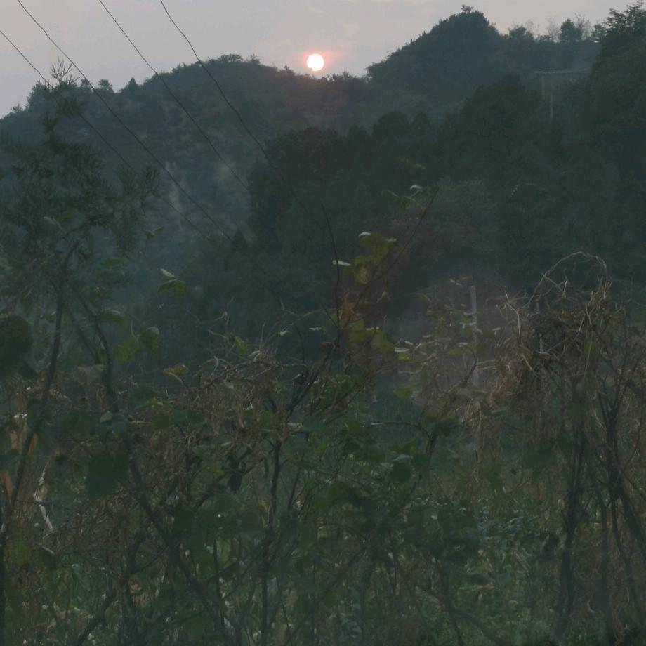 回忆青春