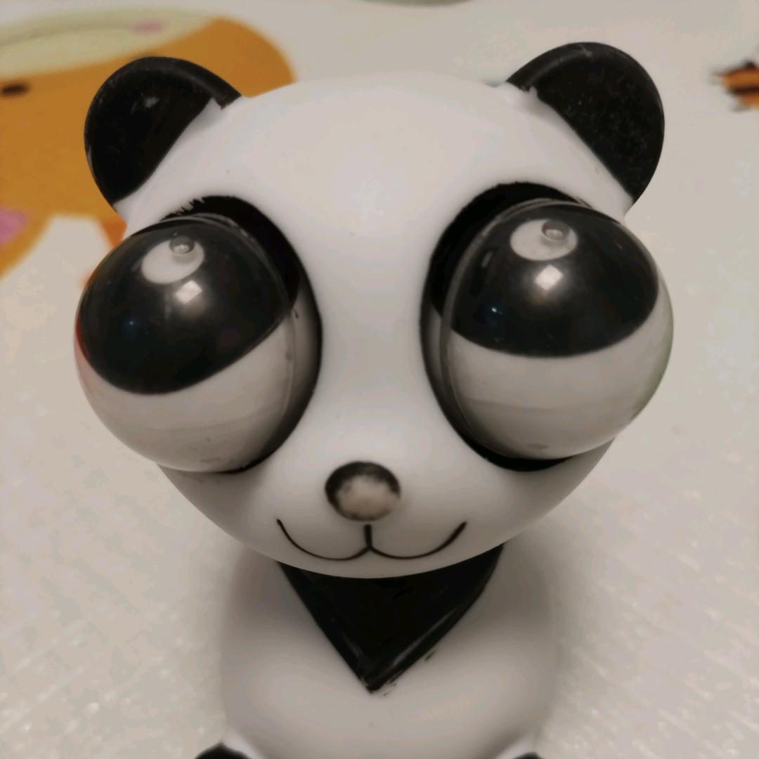 珠珠的玩具