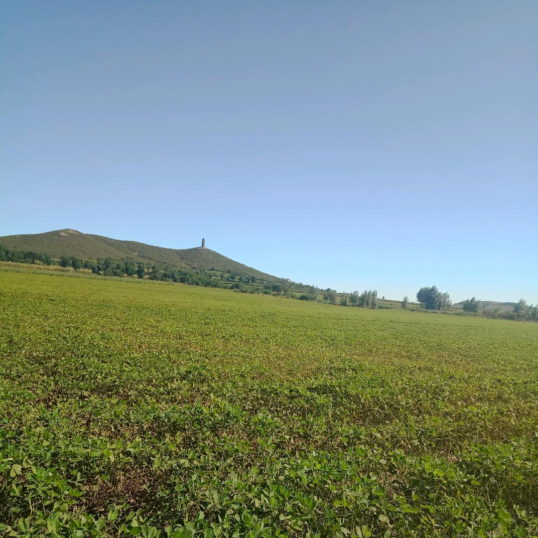 七十七老头学唱歌