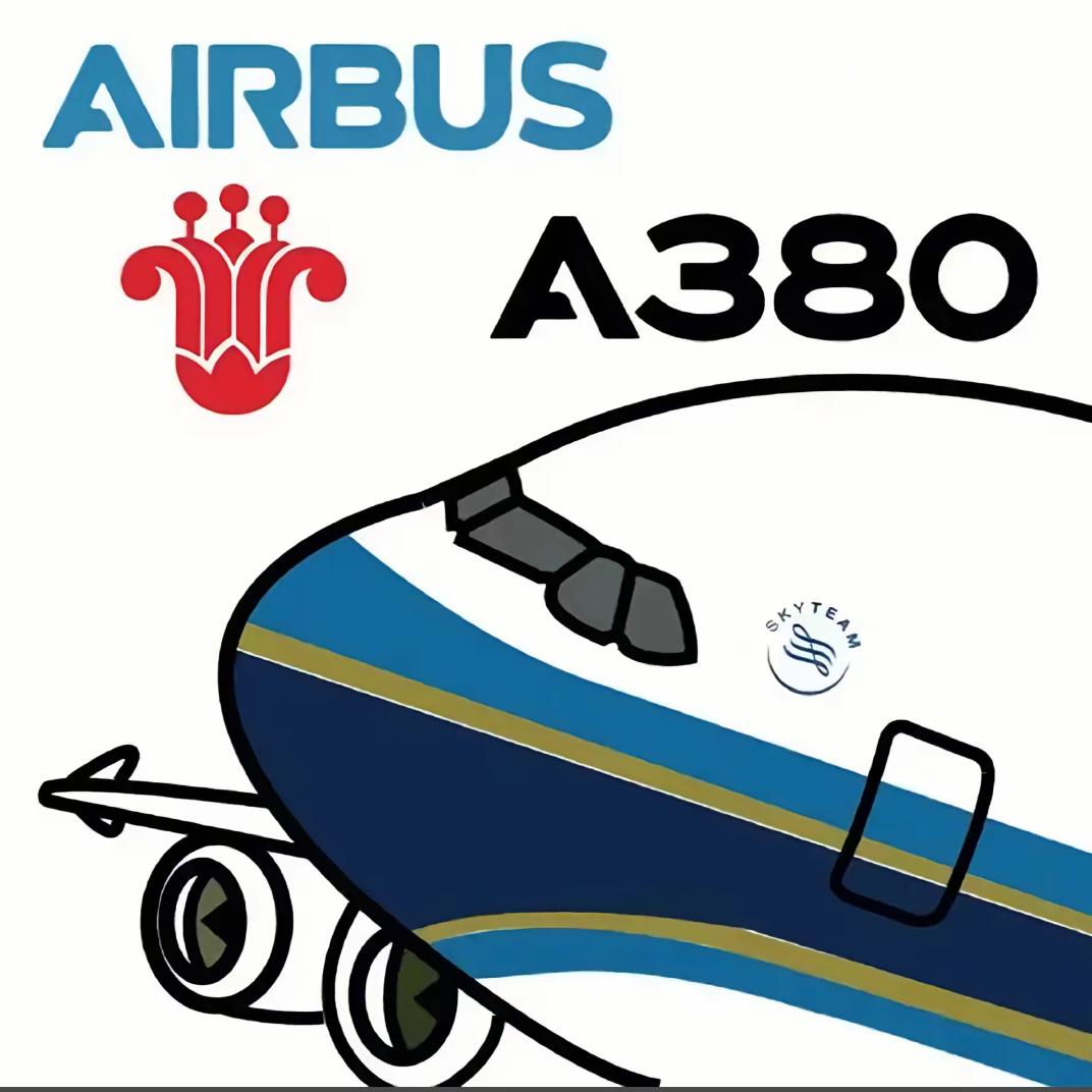 一架正在起飞的A380（王者陪玩团）