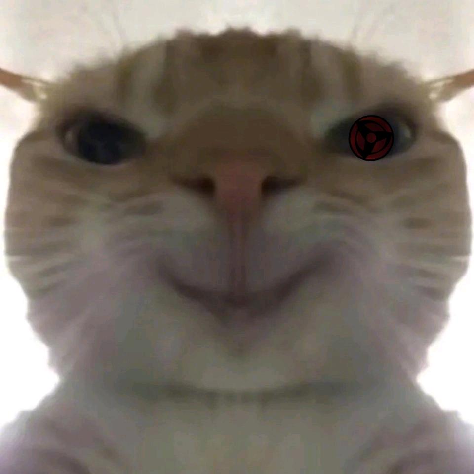 暗            陈😏   仓