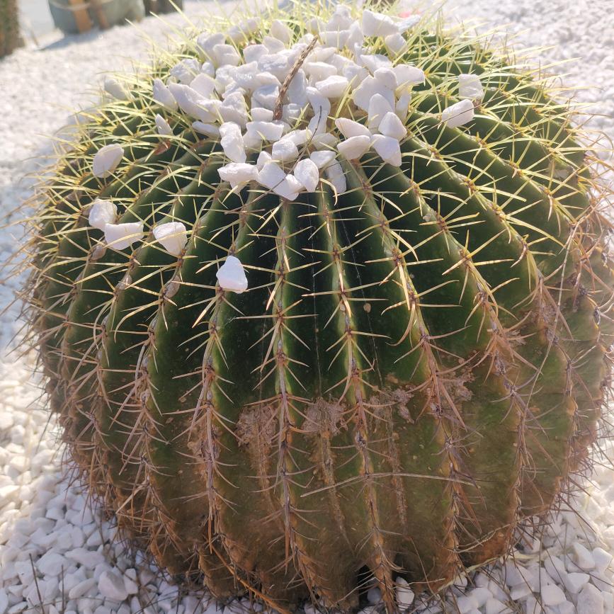 🌻做自己的光🌻