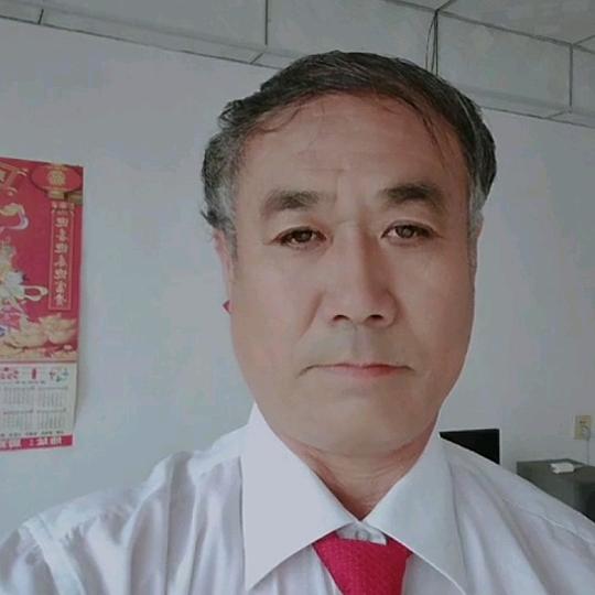 避风港175293502 、
