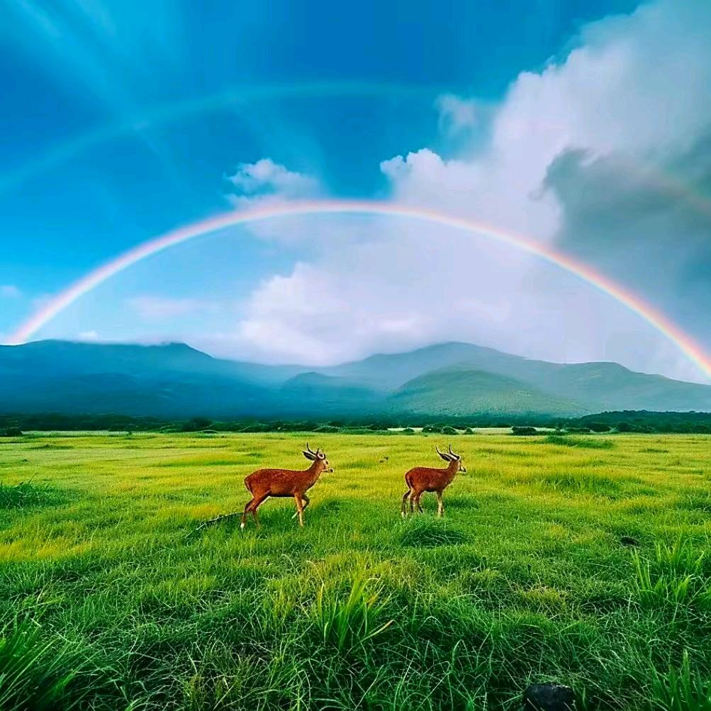 好人一生平安:用户50850796333