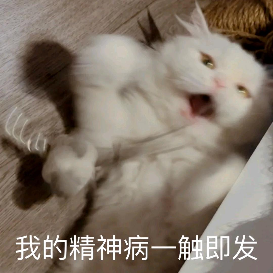 小怪兽💢