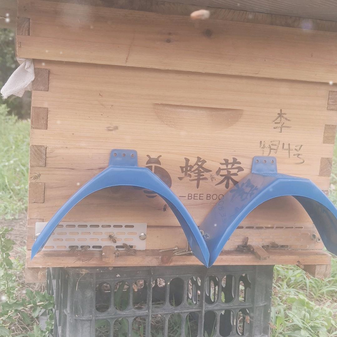 林二哥户外养蜂