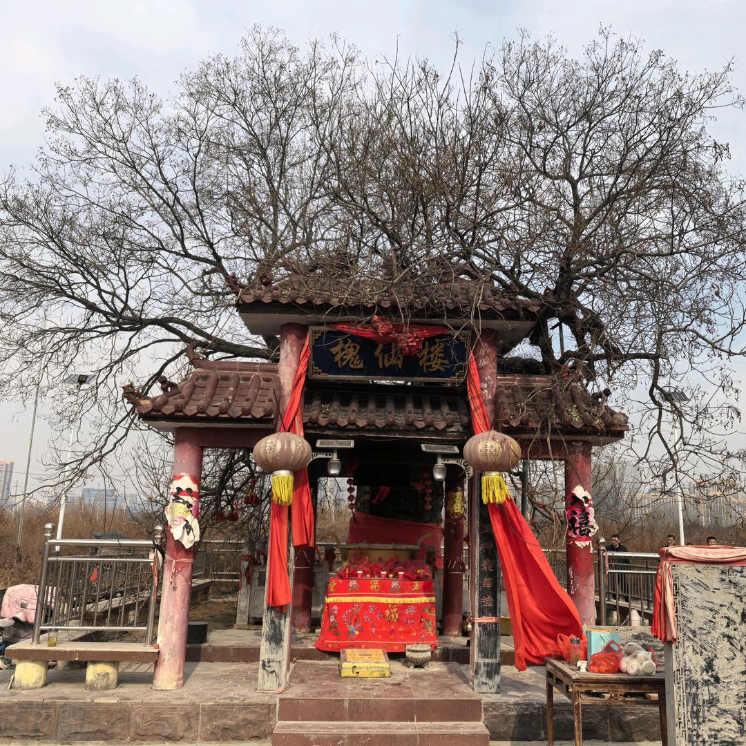 🙏槐仙楼🙏