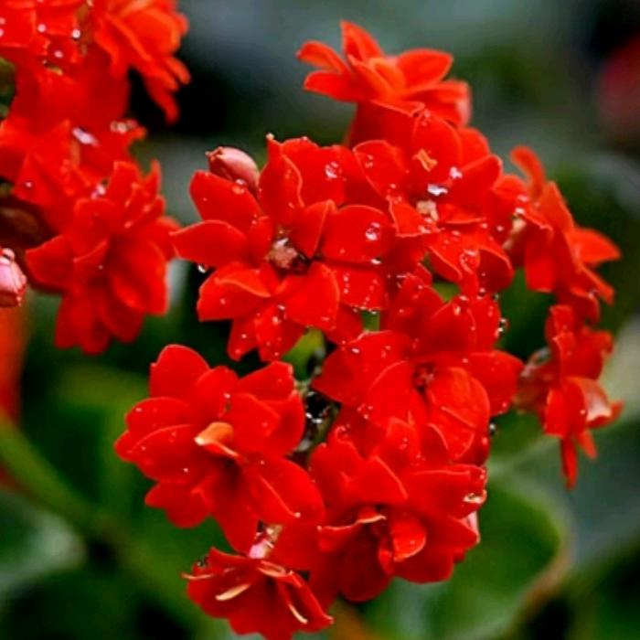 蔚蓝的蓝天🌺🍁🍂🌺🍁🍂