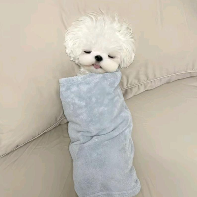 是西西不是嘻嘻