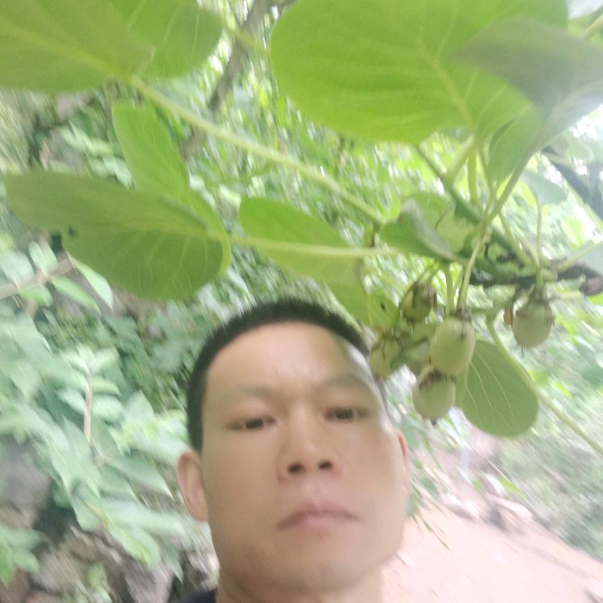 土鸡专业户