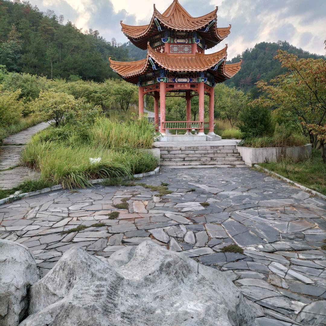 问下