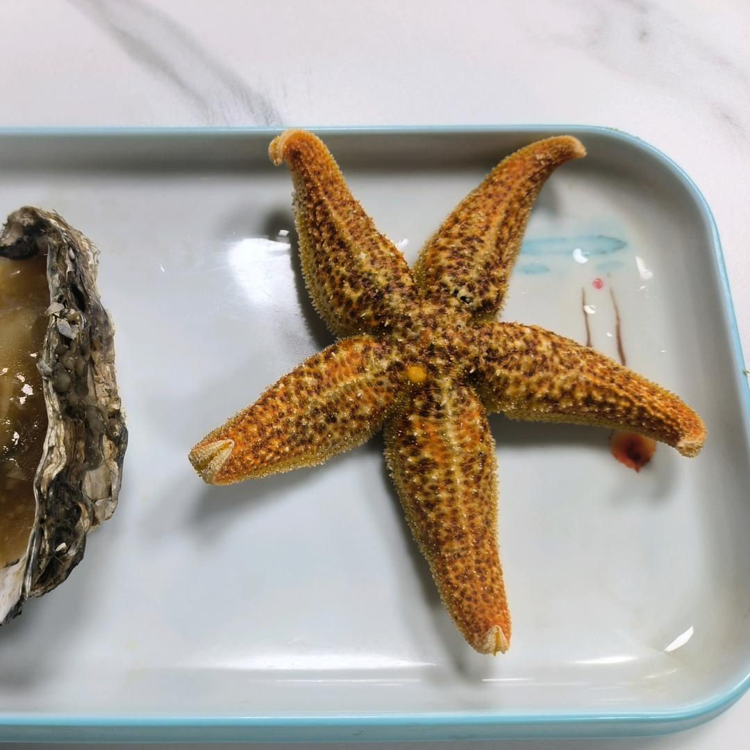 蓬莱小海星