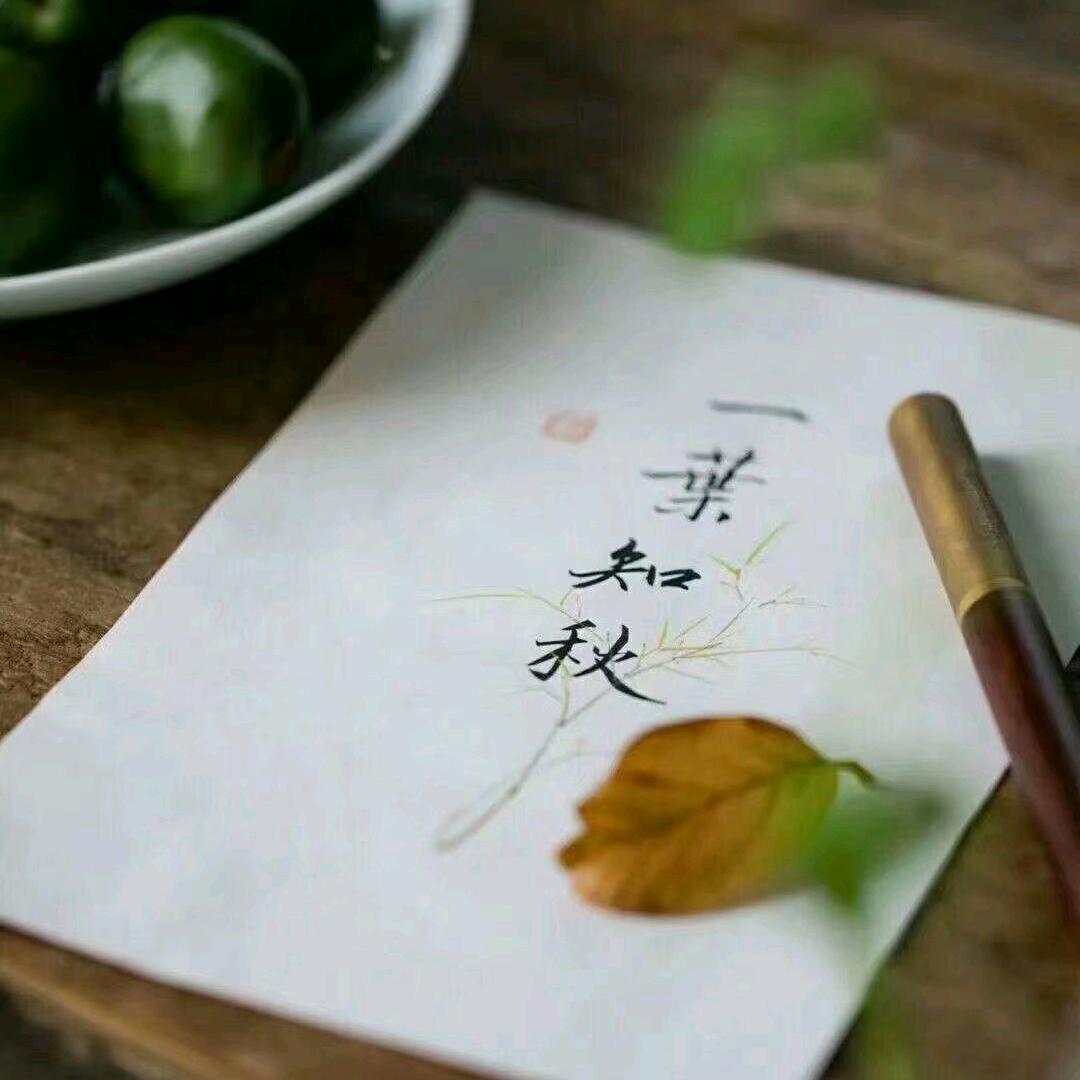 往事随风