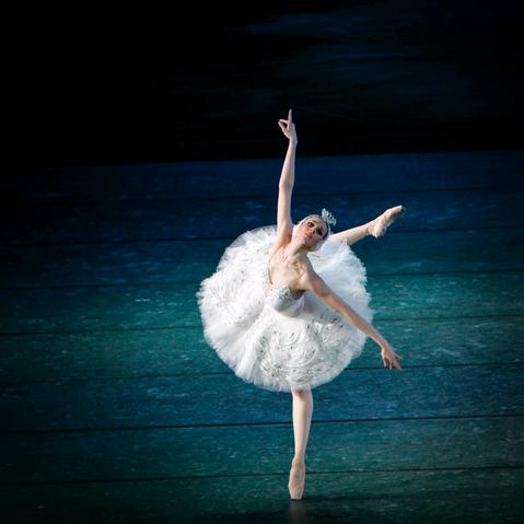 美丽芭蕾舞