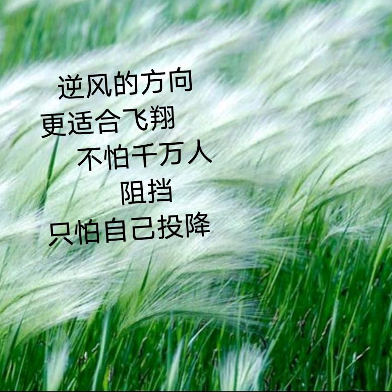 璇姬