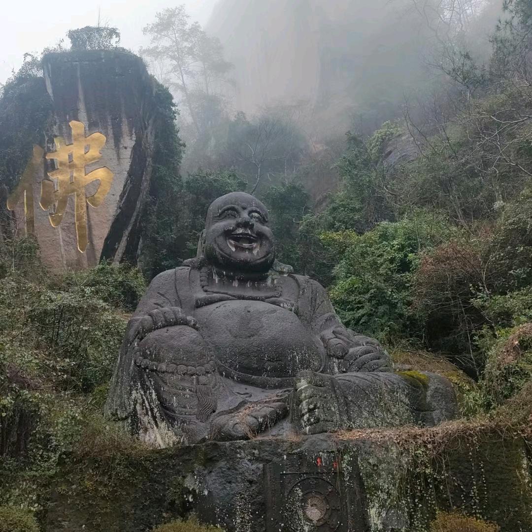 舍得