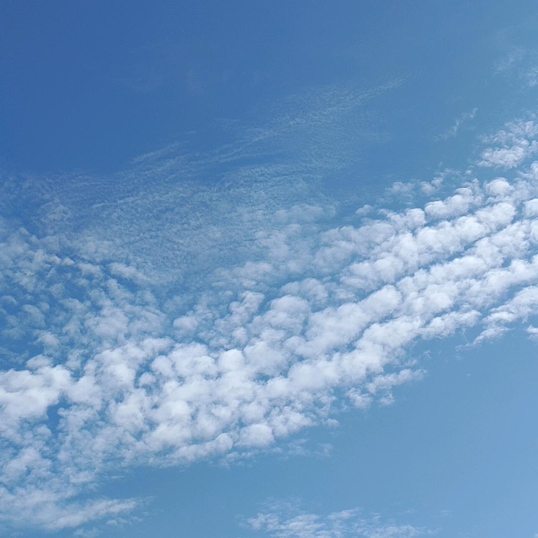 安于时光(˵¯͒〰¯͒˵)