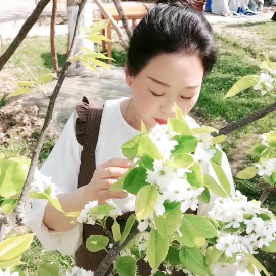 飞越迷雾