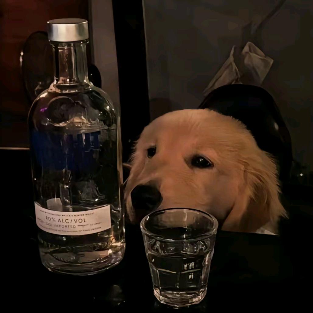 你脑袋怎么尖尖的