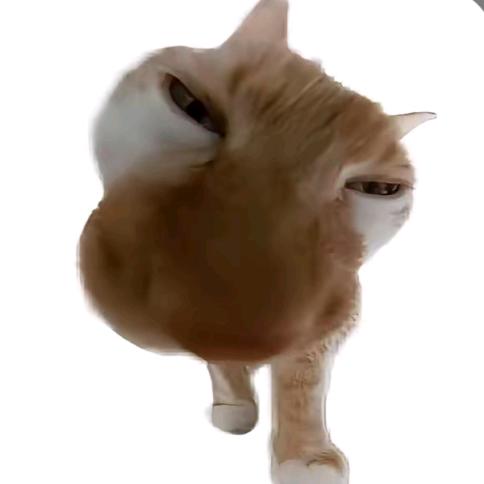 Diii