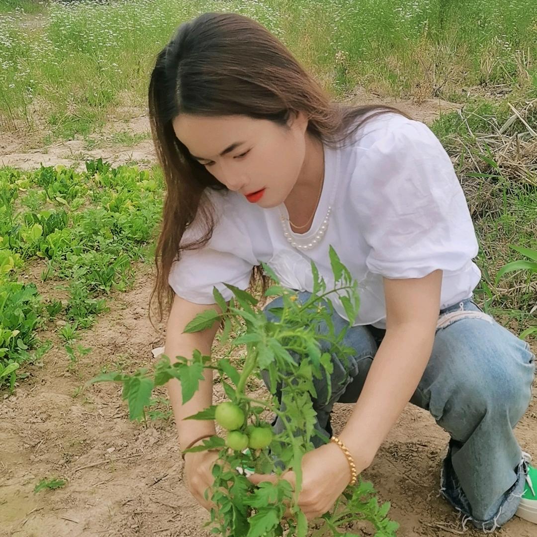 梅子记录日常