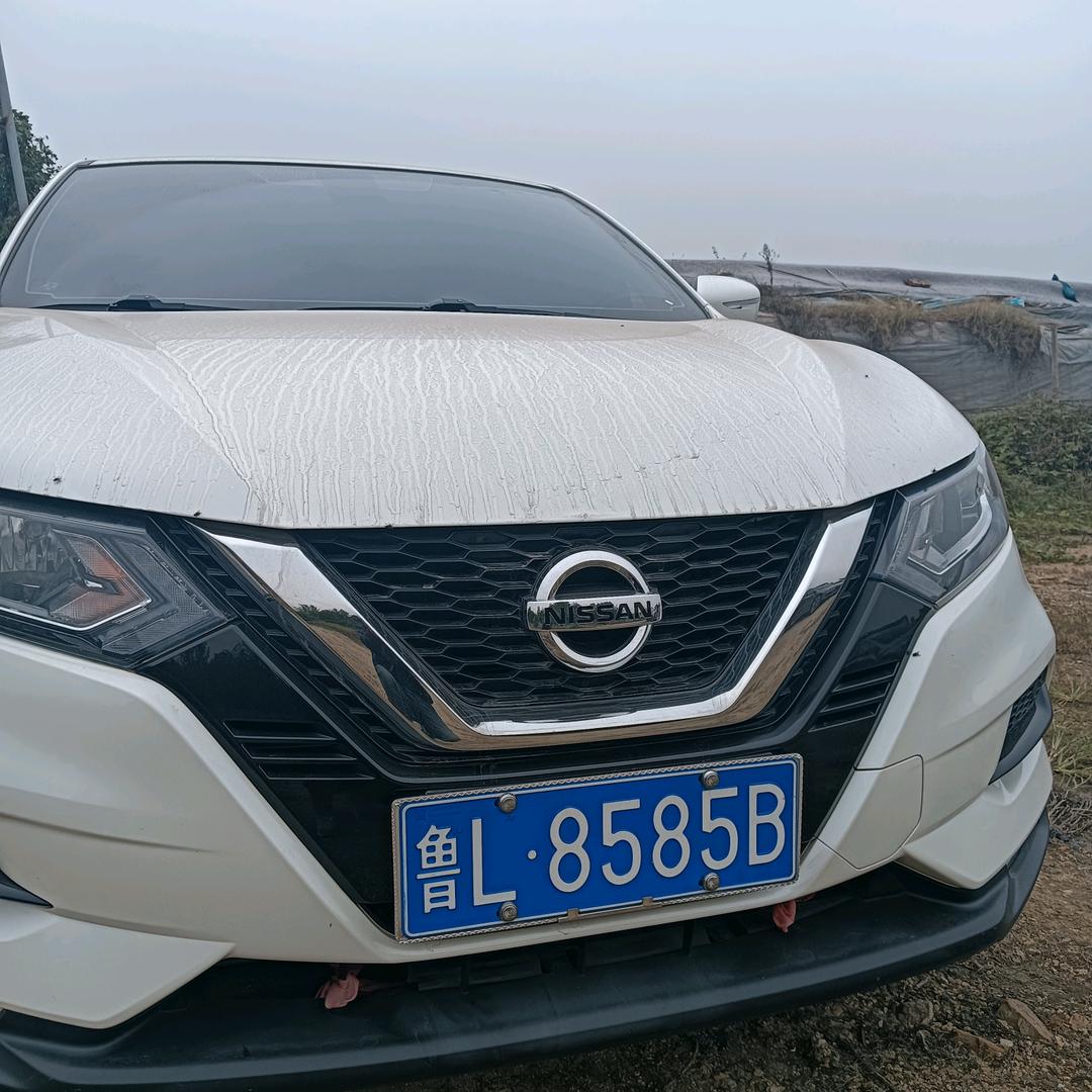 谁动我女人屠你城