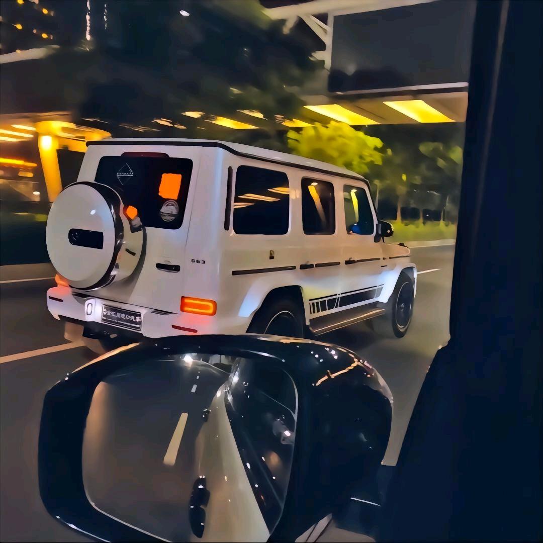 吉【庆】有余