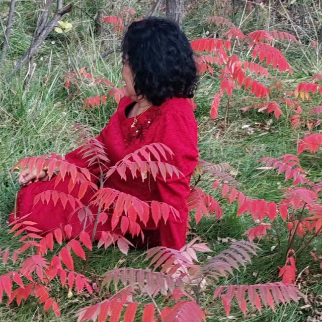 珍珍加油