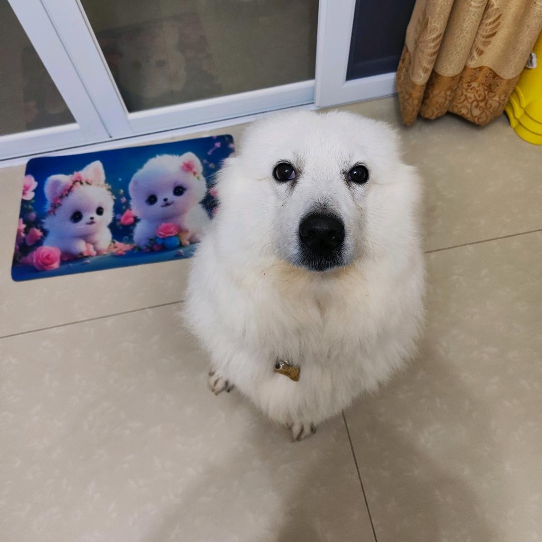 mos