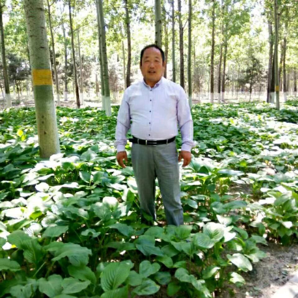 悬壶济世，我是个普通