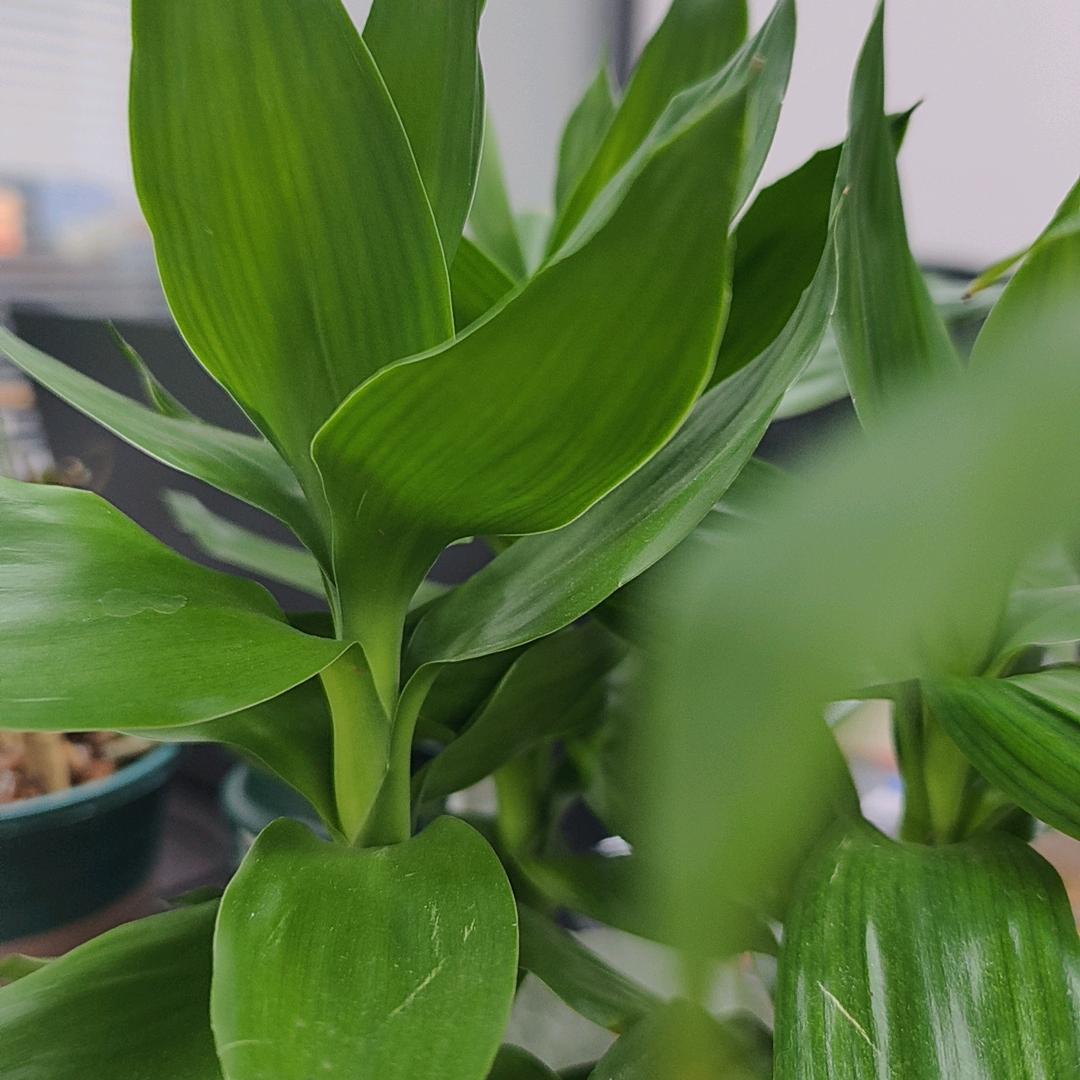 邮邮港货专场