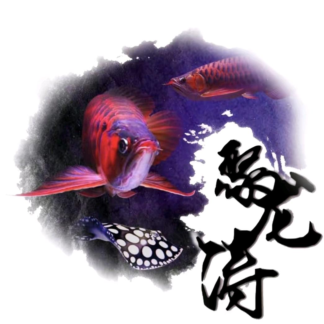 聚龙涛水族会馆