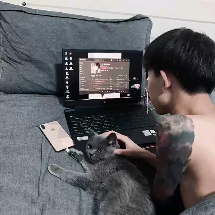 劉 　　　 　　　　  ༽
