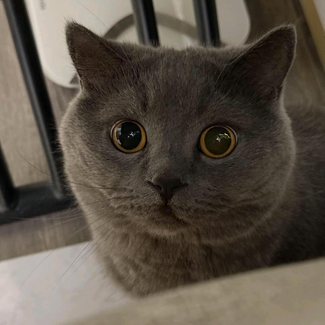 如戏