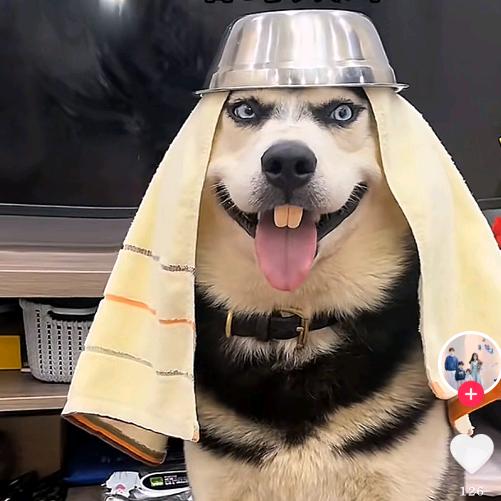 🌈最后没有最后