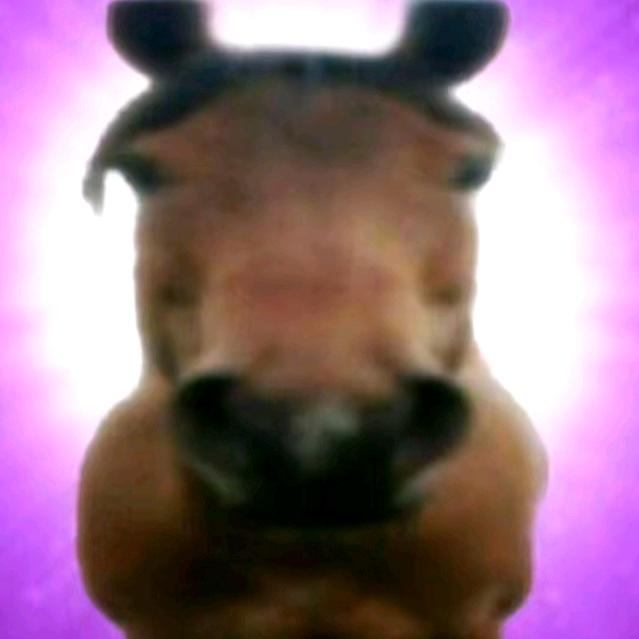 哈哈哈哈哈哈哈哈哈哈哈哈