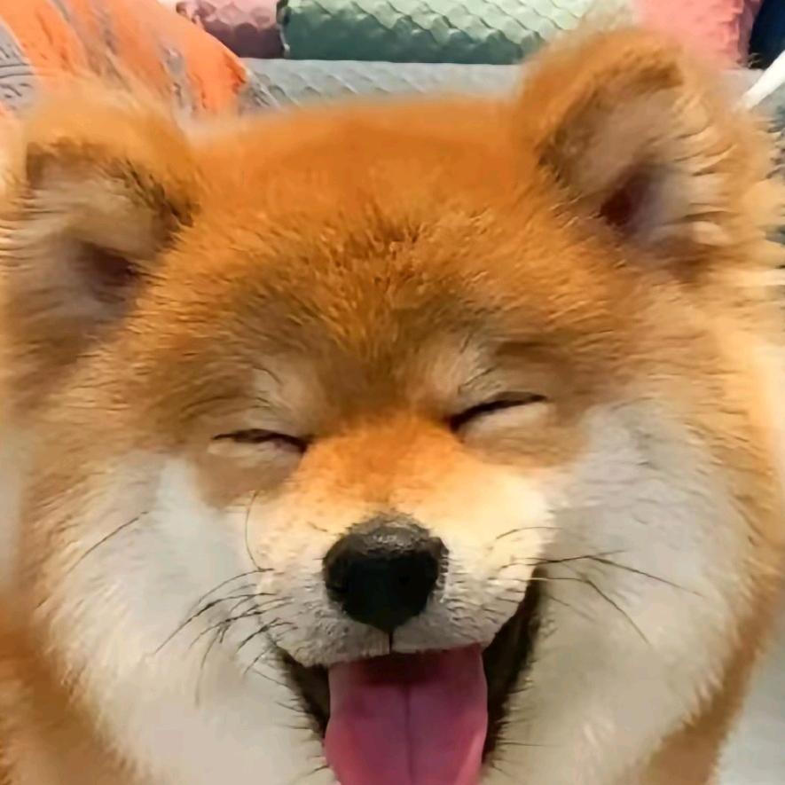 野肆