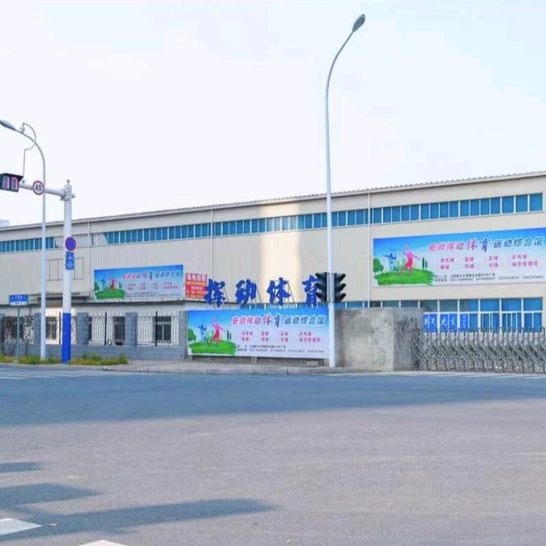 安徽挥动体育发展有限公司