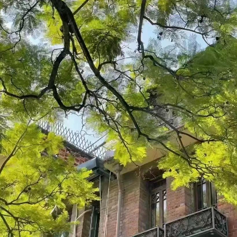单身一人
