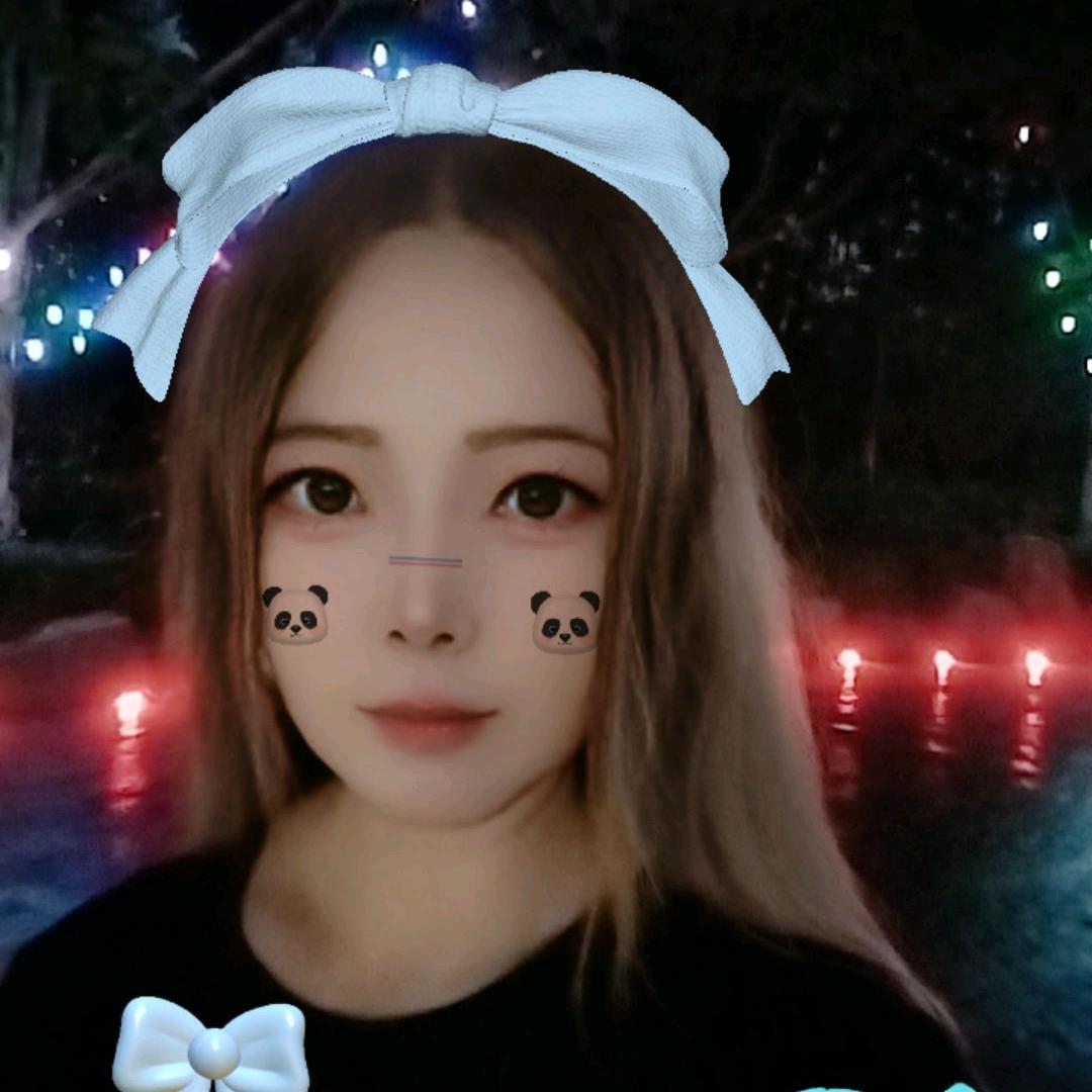 白玫瑰