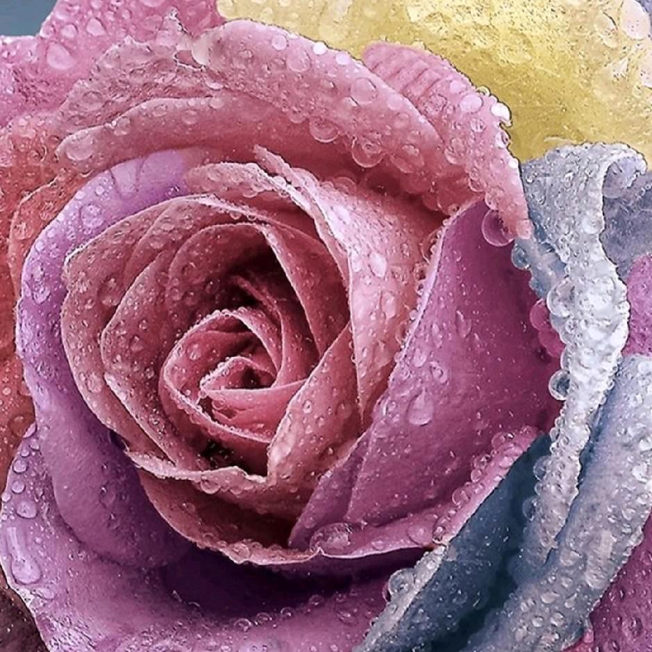 依然微笑(*￣︶￣)