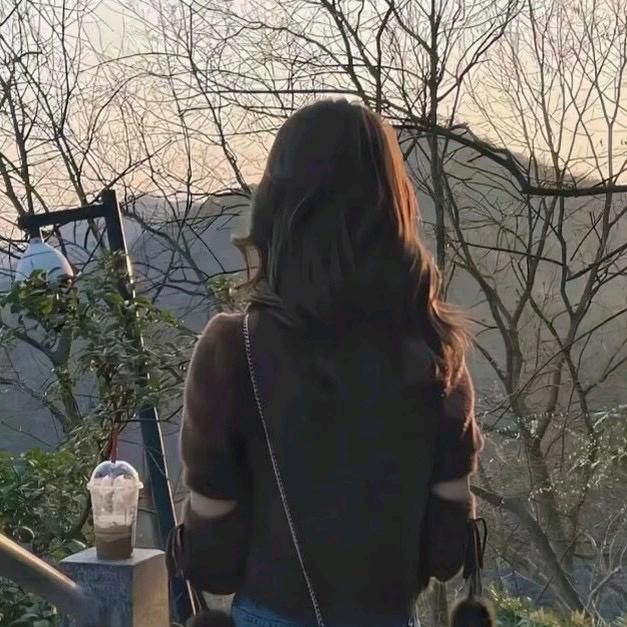 苹果数码ID科技