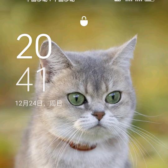 🇨🇳时来运转