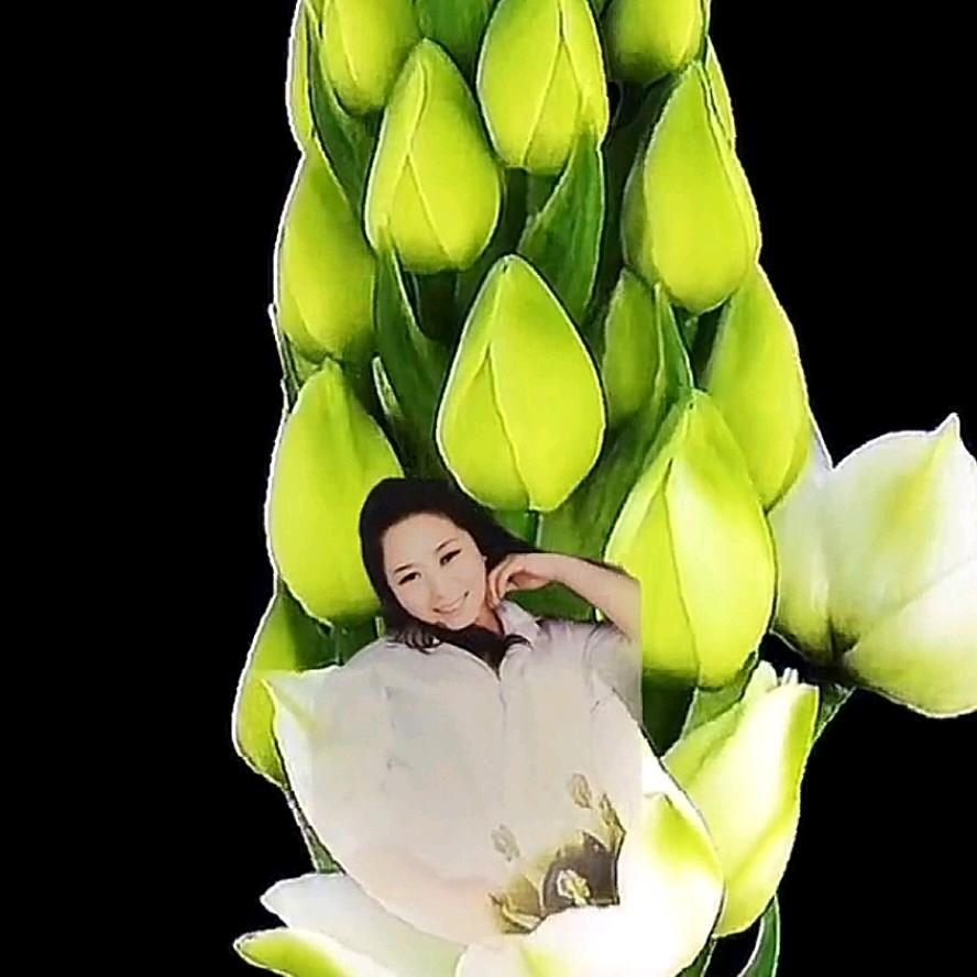 烟花
