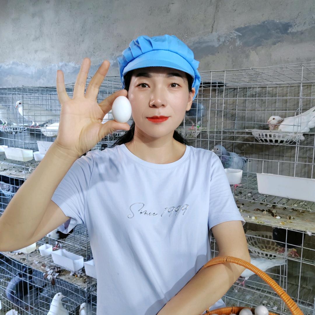 牧鸽农品坊杂粮鸽